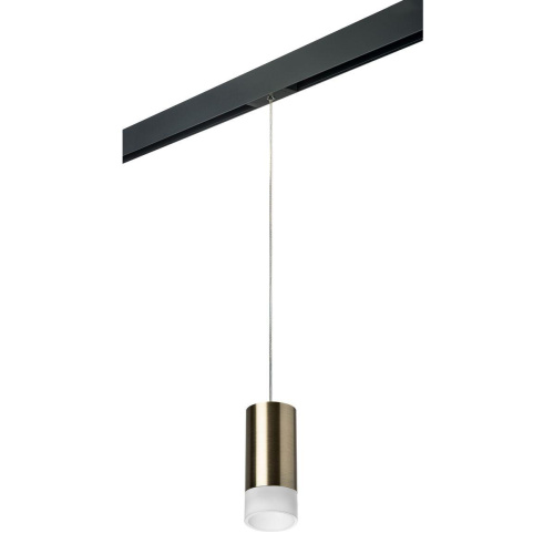 Комплект с трековым светильником Lightstar Rullo (214431+595857+202431) PRORP43131