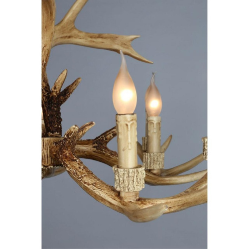 Люстра подвесная OML-52003-10 фото 6 Люстра подвесная OML-52003-10 фото 6