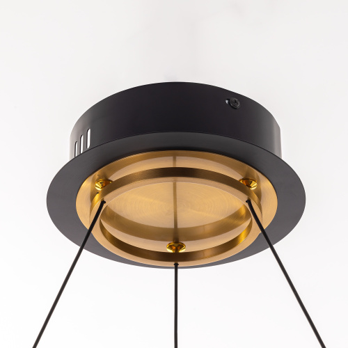 Citilux HELLY CL211082 Подвесная светодиодная люстра фото 7 Citilux HELLY CL211082 Подвесная светодиодная люстра фото 7