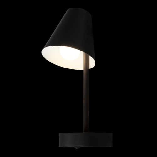 10216/1W Black Настенный светильник LOFT IT Shelf фото 7 10216/1W Black Настенный светильник LOFT IT Shelf фото 7