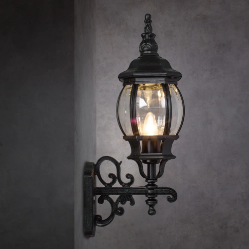 Уличный настенный светильник Arte Lamp ATLANTA A1041AL-1BG фото 5
