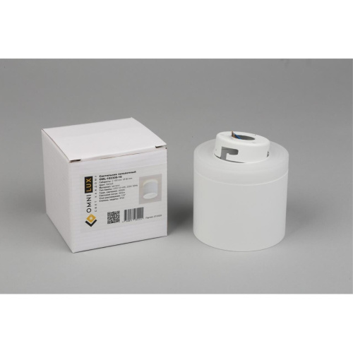 Светильник встраиваемый-накладной OML-102309-16 фото 9 Светильник встраиваемый-накладной OML-102309-16 фото 9