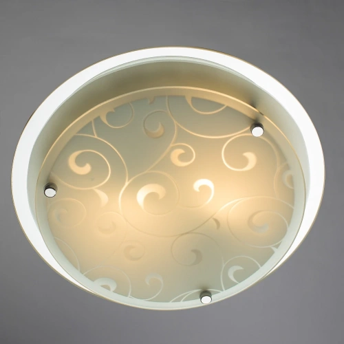 Потолочный светильник Arte Lamp ARIEL A4806PL-2CC фото 2 Потолочный светильник Arte Lamp ARIEL A4806PL-2CC фото 2
