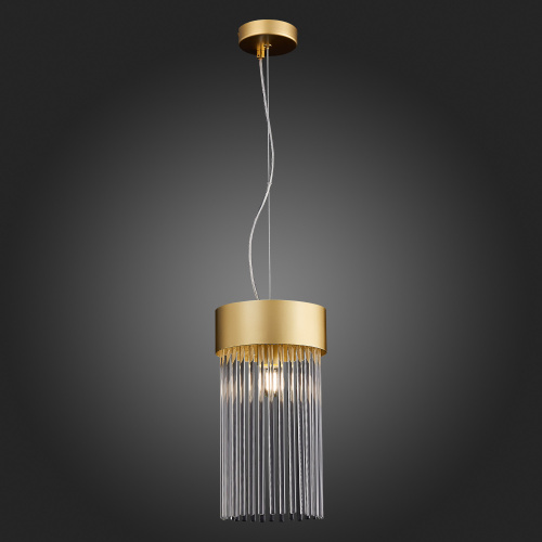 SL1225.203.01 Светильник подвесной ST-Luce Золотистый/Золотистый, Прозрачный E27 1*60W CONTATTO фото 3