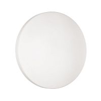 Настенно-потолочный светодиодный светильник Sonex Mini Smalli 3050/CL