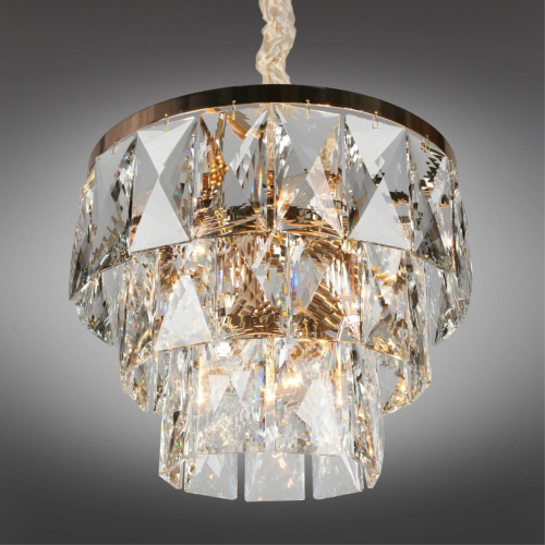 Люстра подвесная OML-72903-09 фото 3