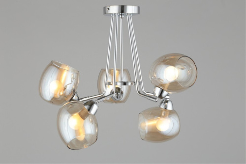 Люстра потолочная OML-27307-05 фото 14