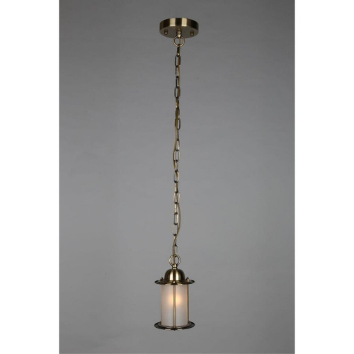 Светильник подвесной OML-50306-01 фото 3 Светильник подвесной OML-50306-01 фото 3