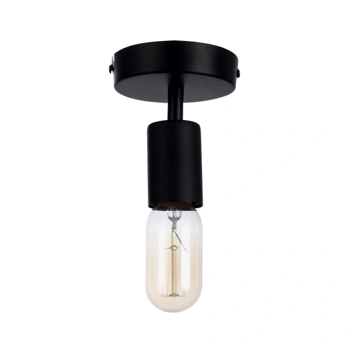 Потолочный светильник Arte Lamp FUORI A9184PL-1BK Потолочный светильник Arte Lamp FUORI A9184PL-1BK