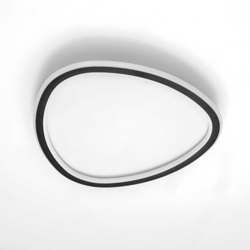 Потолочная люстра Citilux CL215B241E фото 5