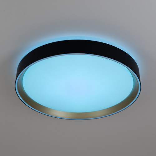 Citilux BOSS CL751351G LED RGB Светильник с пультом Чёрный с Золотом фото 9 Citilux BOSS CL751351G LED RGB Светильник с пультом Чёрный с Золотом фото 9
