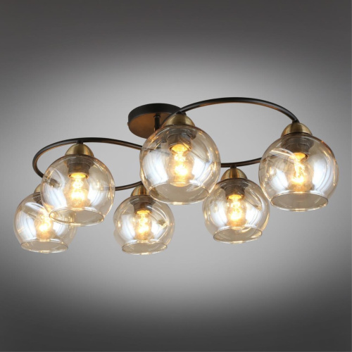 Люстра потолочная OML-95007-06 фото 3