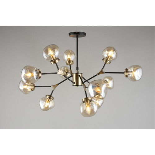 Люстра потолочная OML-95107-12 фото 5