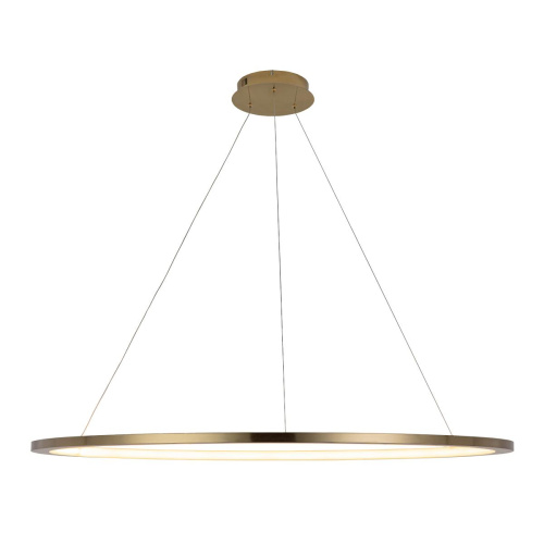 10014XXL Подвесной светильник LOFT IT Ring фото 2 10014XXL Подвесной светильник LOFT IT Ring фото 2