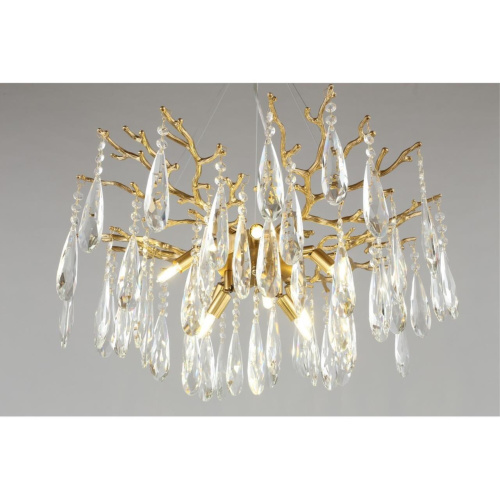 Люстра подвесная OML-52903-08 фото 7 Люстра подвесная OML-52903-08 фото 7