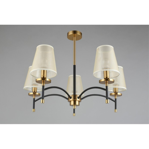 Люстра потолочная OML-67307-05 фото 4 Люстра потолочная OML-67307-05 фото 4