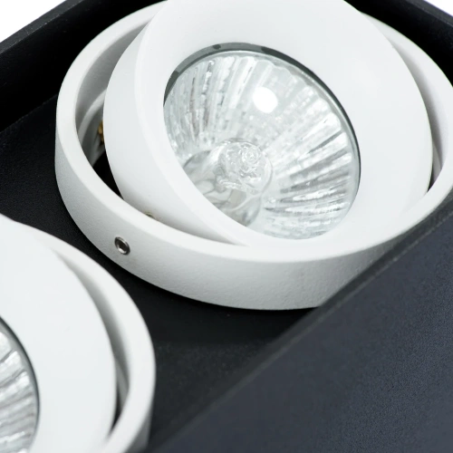 Точечный накладной светильник Arte Lamp PICTOR A5655PL-2BK фото 3 Точечный накладной светильник Arte Lamp PICTOR A5655PL-2BK фото 3
