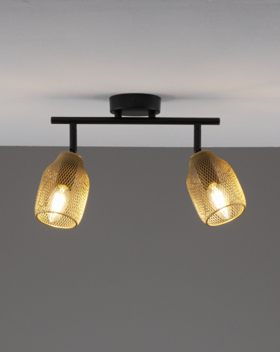 Спот Moderli V11837-2C Adalina фото 3 Спот Moderli V11837-2C Adalina фото 3