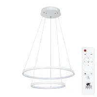 Подвесная люстра Arte Lamp FRODO A2197SP-2WH