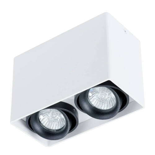Точечный накладной светильник Arte Lamp PICTOR A5655PL-2WH Точечный накладной светильник Arte Lamp PICTOR A5655PL-2WH