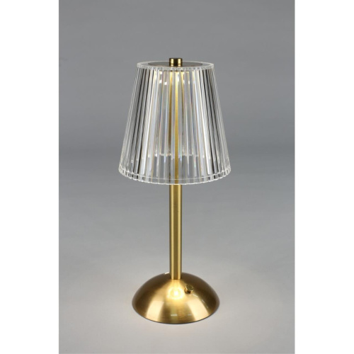 Настольная лампа OML-40004-01 фото 3