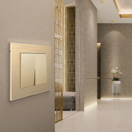 Рамка из металла на 1 пост Аluminium шампань алюминий W0011711 фото 5 Рамка из металла на 1 пост Аluminium шампань алюминий W0011711 фото 5