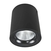 Потолочный светодиодный светильник Arte Lamp Facile A5130PL-1BK