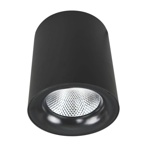 Потолочный светодиодный светильник Arte Lamp Facile A5130PL-1BK Потолочный светодиодный светильник Arte Lamp Facile A5130PL-1BK