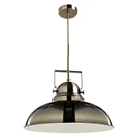 Подвесной светильник Arte Lamp MARTIN A5213SP-1AB