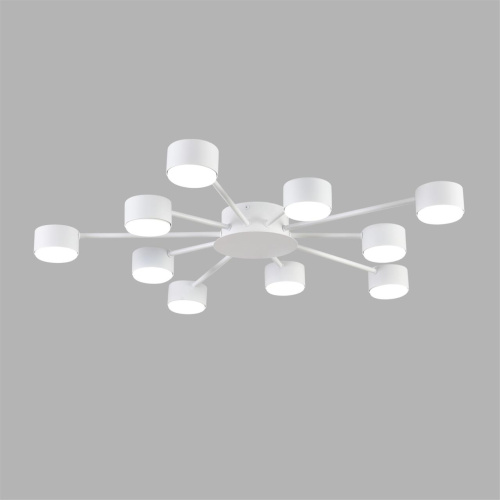 8343/10C COMFI LN26 252 белый, металл Люстра GX53 LED 10*7W 220V TORINA фото 4 8343/10C COMFI LN26 252 белый, металл Люстра GX53 LED 10*7W 220V TORINA фото 4