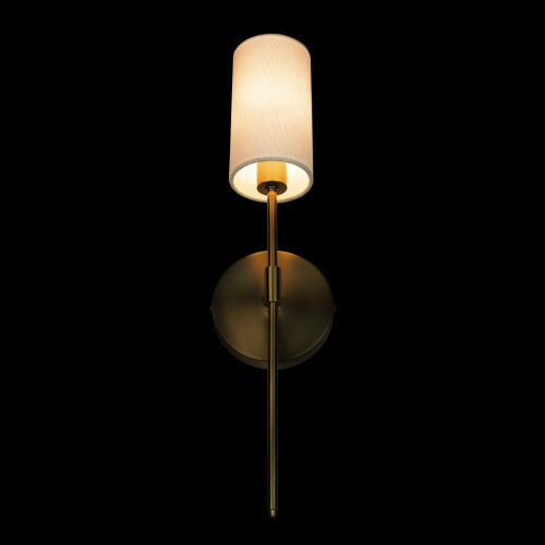 10307W Brass Настенный светильник LOFT IT Comfy фото 6