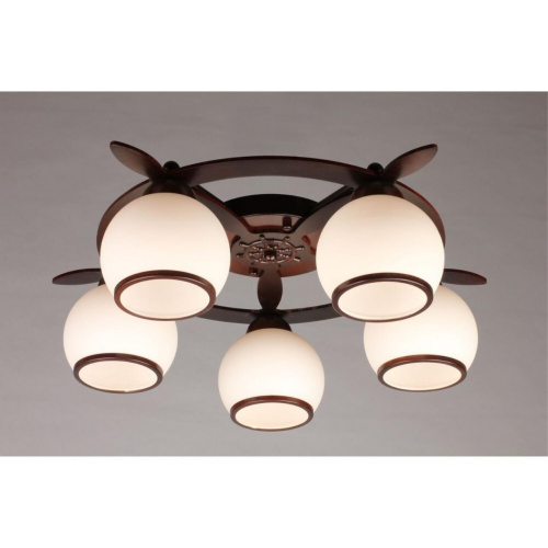 Люстра потолочная OML-50507-05 фото 3