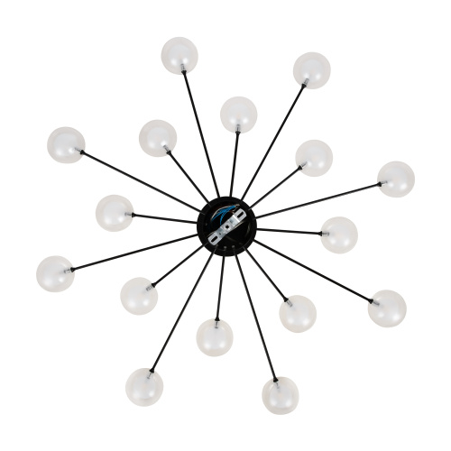 Потолочный светильник Freya FR5242CL-16B1 фото 7