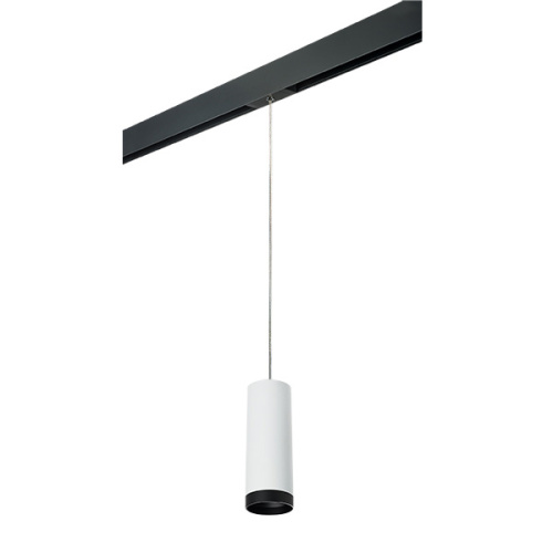 PRORP4863437 Светильник д/1-фазн трека RULLO HP16 (214486+595857+203437) PRORP4863437 Светильник д/1-фазн трека RULLO HP16 (214486+595857+203437)