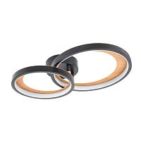 Потолочный светильник Escada 10265/2 LED*48W Black/Wood