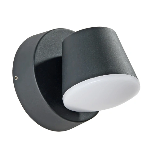 Уличный настенный светильник Arte Lamp CHICO A2212AL-1BK Уличный настенный светильник Arte Lamp CHICO A2212AL-1BK