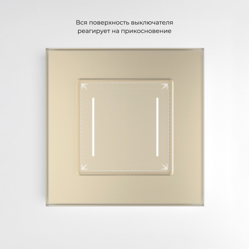 Умный сенсорный выключатель двухклавишный (шампань) W4523011 фото 4
