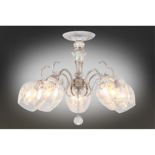 Люстра потолочная OML-53907-05 фото 3