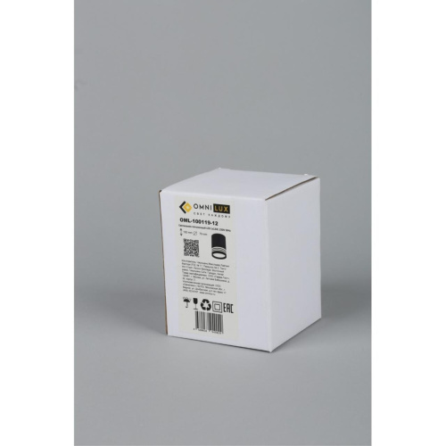 Светильник встраиваемый-накладной OML-100119-12 фото 5 Светильник встраиваемый-накладной OML-100119-12 фото 5