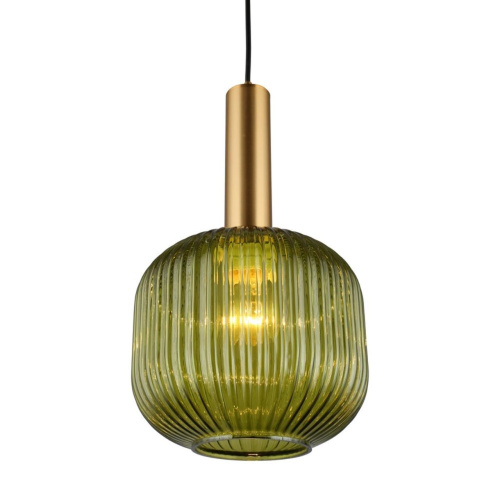 Светильник подвесной OML-99436-01 Светильник подвесной OML-99436-01