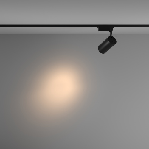 Трековый светильник Technical TR003-1-36W3K-S-B фото 7