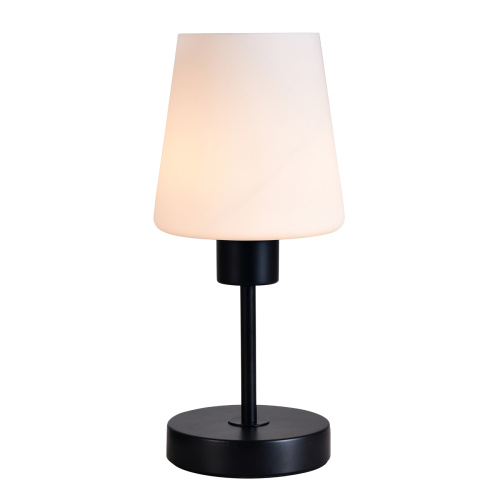 Настольный светильник 120004/1T E27*60W Black