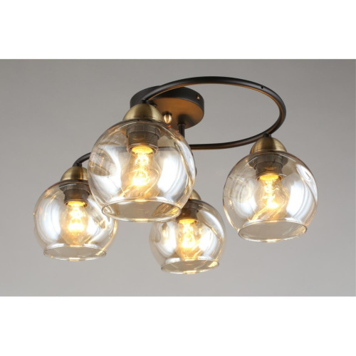 Люстра потолочная OML-95007-04 фото 5 Люстра потолочная OML-95007-04 фото 5