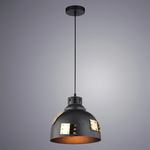 Подвесной светильник Arte Lamp EURICA A6024SP-1BK фото 2 Подвесной светильник Arte Lamp EURICA A6024SP-1BK фото 2