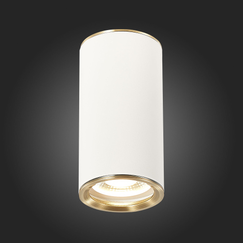 ST111.537.01 Светильник потолочный Белый GU10 1*50W D54xH105 220V Без ламп Накладные светильники фото 6