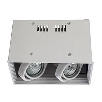 Точечный накладной светильник Arte Lamp CARDANI PICCOLO A5942PL-2WH