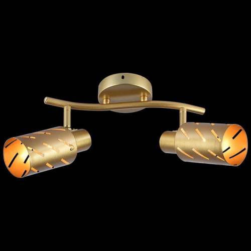 Спот Reluce 05970-0.8-02 GOLD фото 2 Спот Reluce 05970-0.8-02 GOLD фото 2
