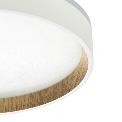 Citilux ETALON CL750240 LED Светильник с подсветкой Белый+Бук фото 9 Citilux ETALON CL750240 LED Светильник с подсветкой Белый+Бук фото 9