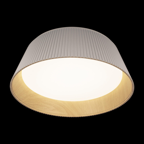 10224 White Потолочный светильник LOFT IT Evans фото 4