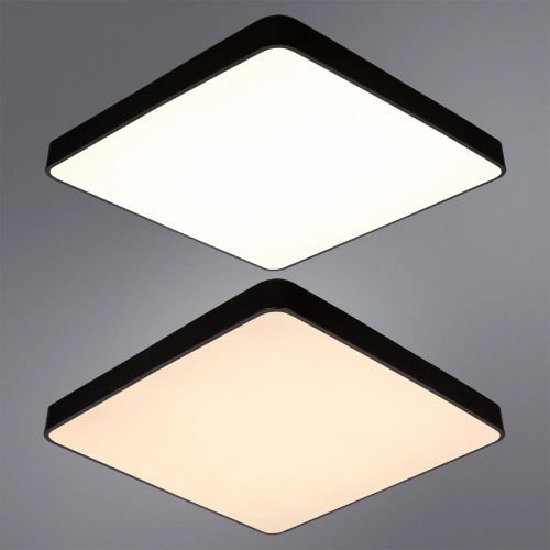 Потолочный светильник Arte Lamp SCENA A2669PL-1BK фото 3